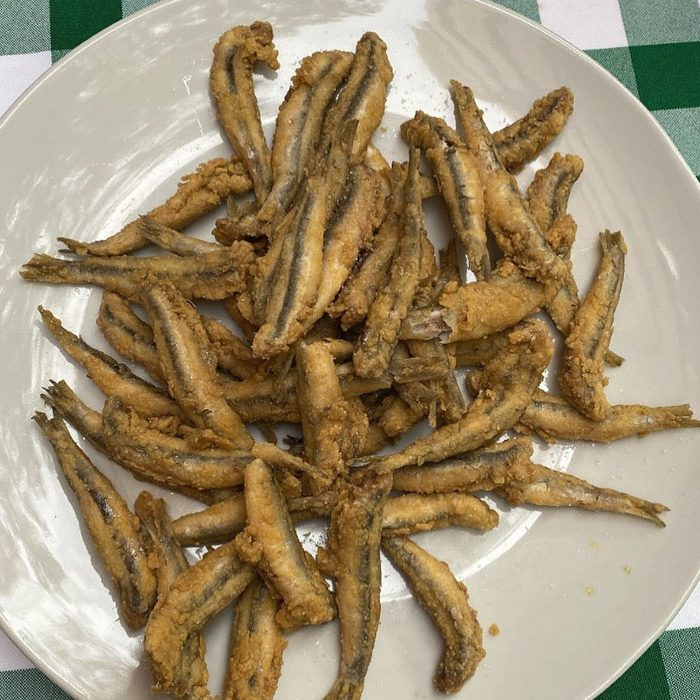 GALERIA-BOGA-BOQUERONES