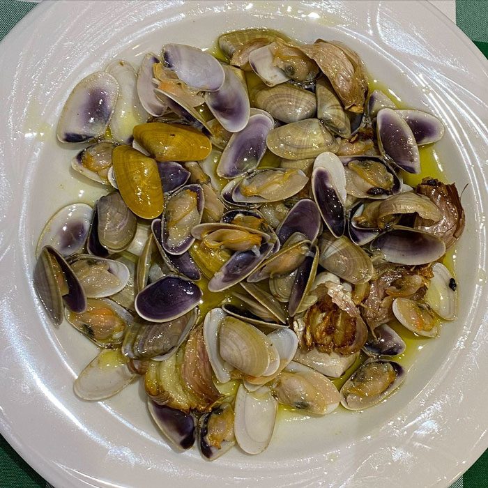 GALERIA-BOGA-COQUINAS