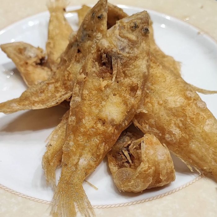 Imagen de WhatsApp 2025-04-10 a las 12.05.32_130e1f6b